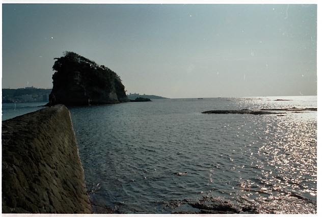 �~�����̎ʐ^